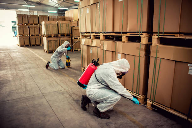 Best Emergency Pest Control  in Grasonville, MD