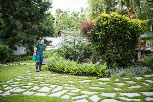  Grasonville, MD Pest Control Pros