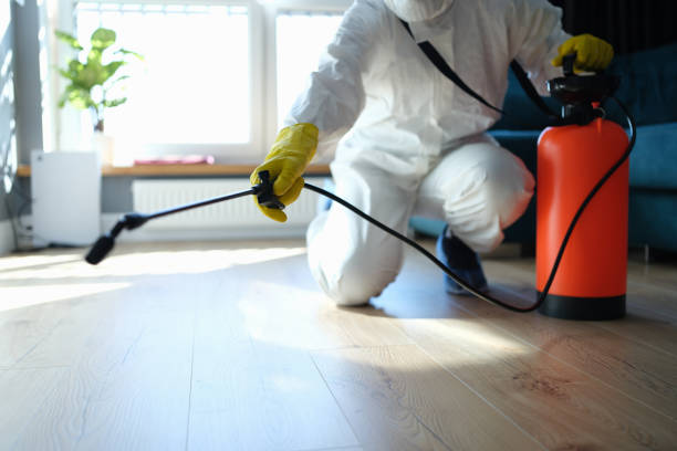 Best Best Pest Control Companies  in Grasonville, MD