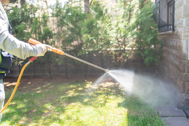 Reliable Grasonville, MD Pest Control Solutions
