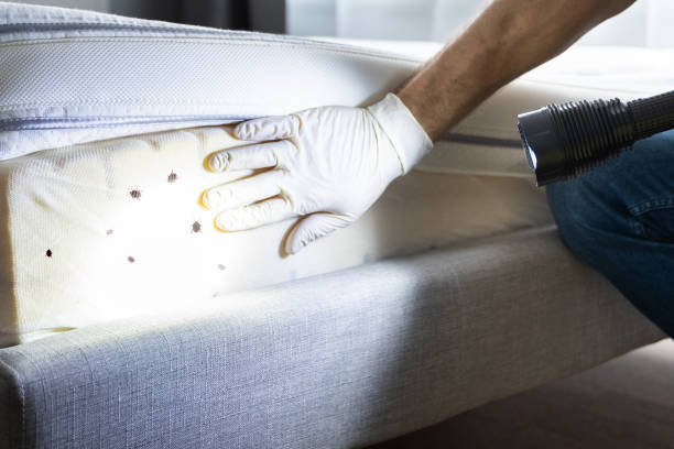 Best Commercial Pest Control Services  in Grasonville, MD