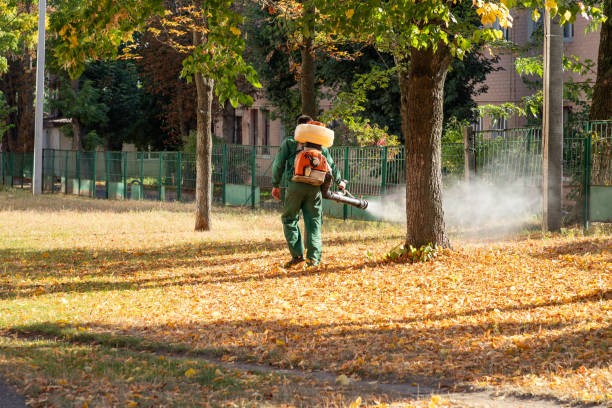 Best Pest Prevention Services  in Grasonville, MD