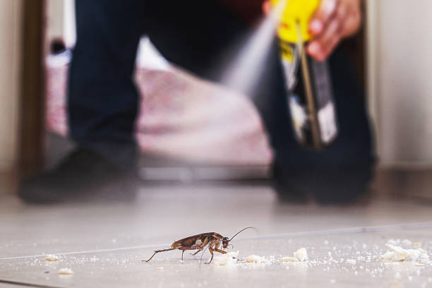 Best Cockroach Control Services  in Grasonville, MD
